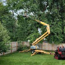 Best Weed Control  in West Glendive, MT